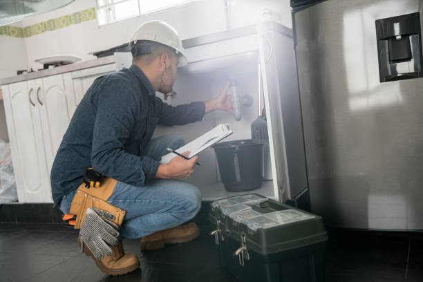 Best Water Leak Repair  in Oronoco, MN