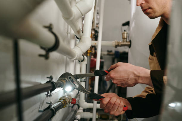 Best Emergency Plumber  in Oronoco, MN