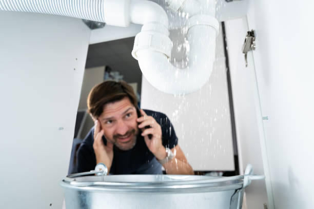 Best Pipe Repair Near Me  in Oronoco, MN