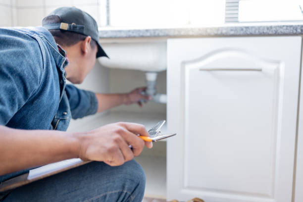 Best 24-Hour Plumber Near Me  in Oronoco, MN