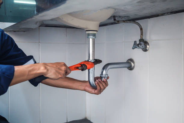 Best Plumbing Inspection Services  in Oronoco, MN