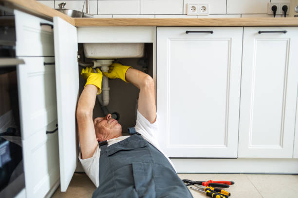 Best Clogged Drain Plumber  in Oronoco, MN