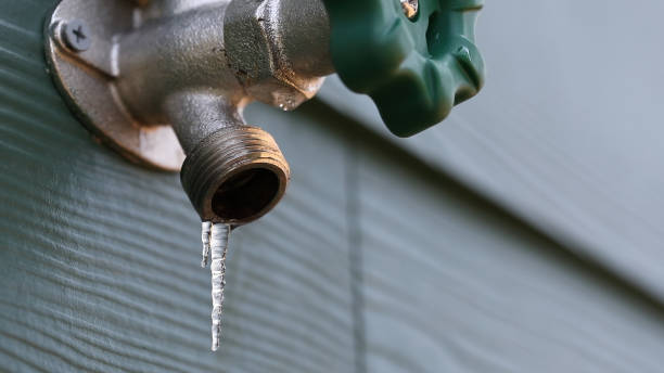 Best Emergency Plumbing Repair  in Oronoco, MN