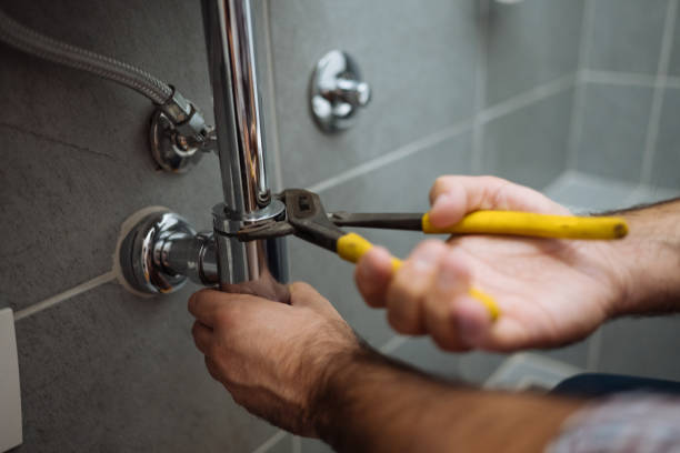 Best Affordable Plumber Near Me  in Oronoco, MN