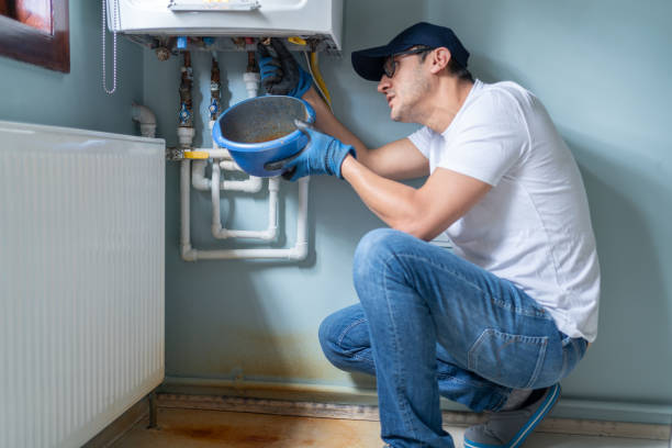 Best Plumbing Services Near Me  in Oronoco, MN