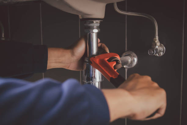 Best Same-Day Plumbing Service  in Oronoco, MN