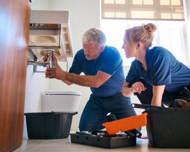 Best Residential Plumbing Services  in Oronoco, MN